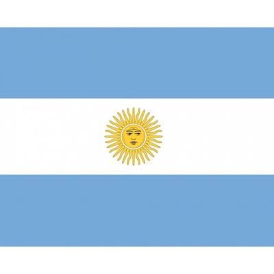 Vlag van Argentinie plakstickers