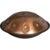 Sela SE 321 Harmony Handpan D Amara 10 Phoenix Steel roestvrij staal