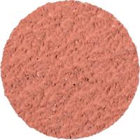 PFERD TOOLS CD 50 A-COOL 36 42752503 Schuurblad Korrelgrootte (num) 36 (Ø) 50 mm 100 stuk(s)