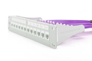 Digitus DK-1613-VH-1 Netwerkkabel CAT 6 U/UTP 4 x 2 x 0.25 mm² Violet 100 m