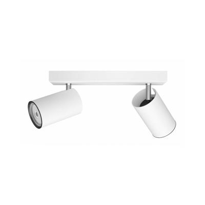 Philips Witte plafondspotKosipo 2-lichts - 929003204401