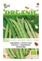 Organic Stokspekboon Neckarkonigin (BIO) - Buzzy