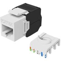 Equip 769227 keystonemodule