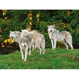 Placemat wolf/wolven 3D print 30 x 40 cm   -