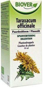 Taraxacum officinalis bio