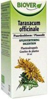 Taraxacum officinalis bio - thumbnail