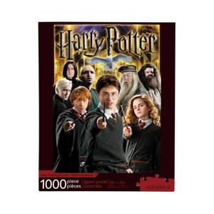 Harry Potter Collage Puzzel 1000 stuks