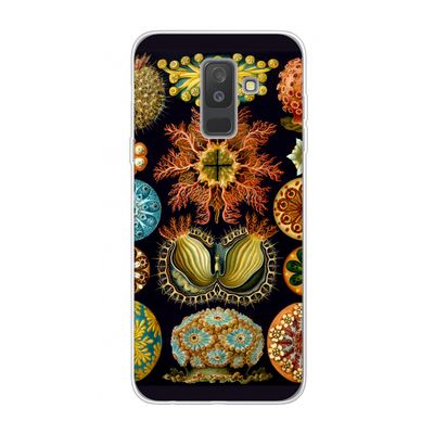 Haeckel Ascidiae: Samsung Galaxy A6 Plus (2018) Transparant Hoesje