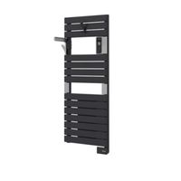 SAUTER Asama elektrische radiator 55x143.2cm connected 750watt Verticaal staal antraciet 233185