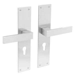 Intersteel Deurklink Amsterdam met schild 250x55x2mm profielcilindergat 55mm rvs geborsteld