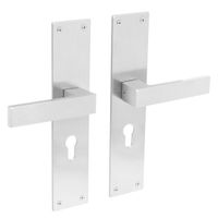 Intersteel Deurklink Amsterdam met schild 250x55x2mm profielcilindergat 55mm rvs geborsteld