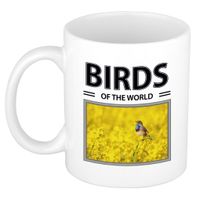 Blauwborst vogels mok met dieren foto birds of the world