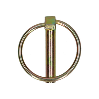 pgb-Europe PGB-FASTENERS | Standaard borgpen Ø 11,0x42 Zn 0BORGP001011000425