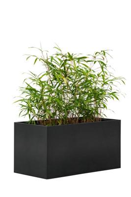 Bloembak Mohawk, zwart gepoedercoat staal 60 x 120 x 60 cm