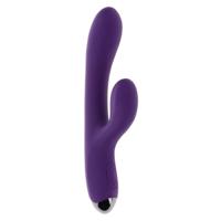 Dubbele Stimulatie Vibrator Evolved Playboy Paars