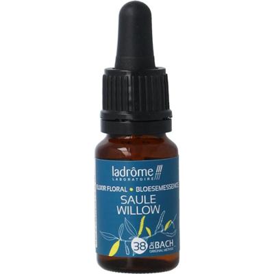 Ladrome Willow bio