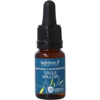 Ladrome Willow bio