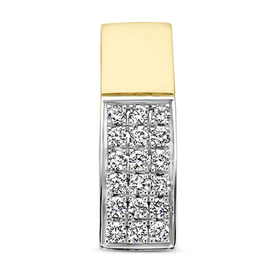 Hanger geel-en witgoud-diamant 0.07 ct Hsi wit 4 x 11,5 mm