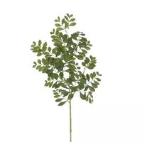 Toneriko Tak Groen 80 cm kunstplant - Buitengewoon de Boet