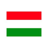 10x Stickertjes Hongarije vlag 10 cm   -