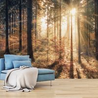 Zelfklevend fotobehang -  Herfst in een bos  , Premium Print - thumbnail