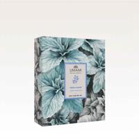 Umami Exclusive Cosmetics Fresh Leaves Giftset Small Umami Exclusive Cosmetics Fresh Leaves Giftset Small