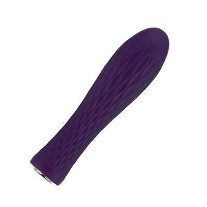 Nalone - Ian Siliconen Bullet Vibrator USB-oplaadbaar Paars