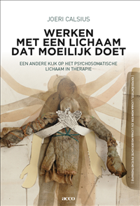 Werken met een lichaam dat moeilijk doet (Paperback)