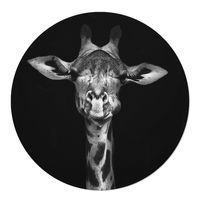 Muurcirkel Giraffe Aluminium 30 Ophangsysteem - thumbnail