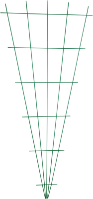 Meister Rozenklimrek Plant V-Vormig Groen - WU9965150