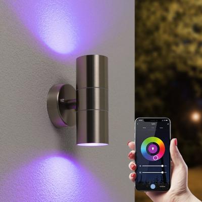 Jasmin Smart Wandlamp LED - Wifi + Bluetooth - 11 Watt 800 lumen - RGBWW - IP44 waterdicht - GU10 - Up Down lamp - RVS - Google Home, Amazon Alexa en Siri