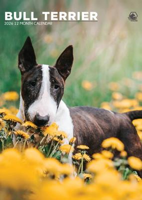 Bull Terrier A3 Kalender 2026