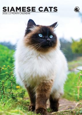 Siamees A3 Kalender 2026