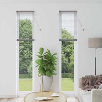 Raam Blind met gordijnen Anders Zilver 40 x 220 cm Aluminium