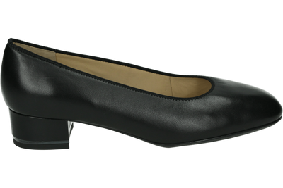 Ara 1211838 - alle