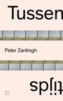 Tussentijds - Peter Zantingh - ebook - thumbnail