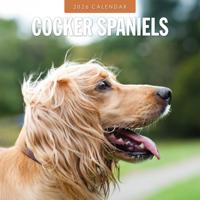 Cocker Spaniels Kalender 2026