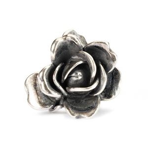 Trollbeads TAGBE-00032 Kraal Juniroos zilver