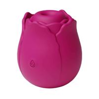 Massager NS Novelties Inya Rood