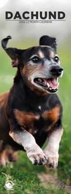 Teckel Slimline Kalender 2026