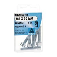 Inbusbout m6x30mm 6st - Deltafix