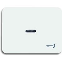 1789 TR-24G  - Cover plate for switch/push button white 1789 TR-24G - thumbnail