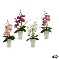 Decoratieve Bloem Ibergarden A18124-33-WH A18124-33-WH Orchidee 14 x 35 x 8 cm (12 Stuks)