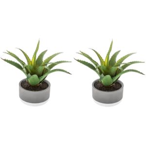 Set van 2x stuks atmosphera kunstplanten in pot van cement 22 cm