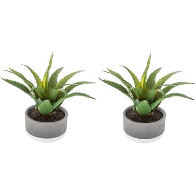 Set van 2x stuks atmosphera kunstplanten in pot van cement 22 cm