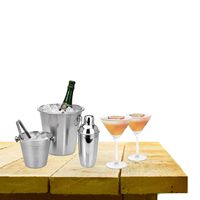 Complete bar set met 4x Martini cocktailglazen en cocktailshaker