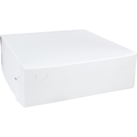 Zwanenhals/ verzenddoos | karton | 30x30x9cm | duplex | wit | 50 stuks