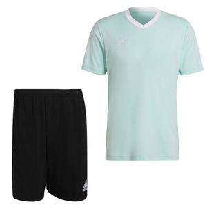 adidas Entrada 22 Trainingsset Mintgroen Zwart Wit