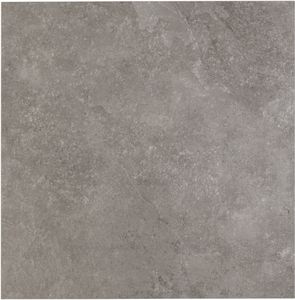 Saqu Stone vloertegel gerectificeerd 60x60cm ash