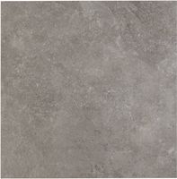 Saqu Stone vloertegel gerectificeerd 60x60cm ash - thumbnail
